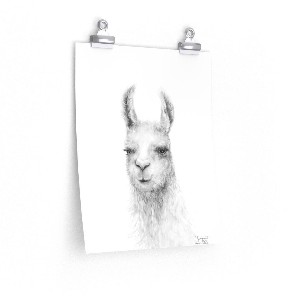 JACQUIE Llama- Art Paper Print