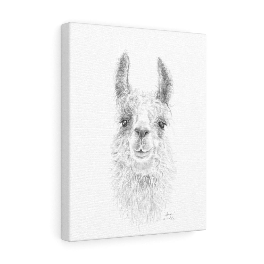 SARAH Llama - Art Canvas