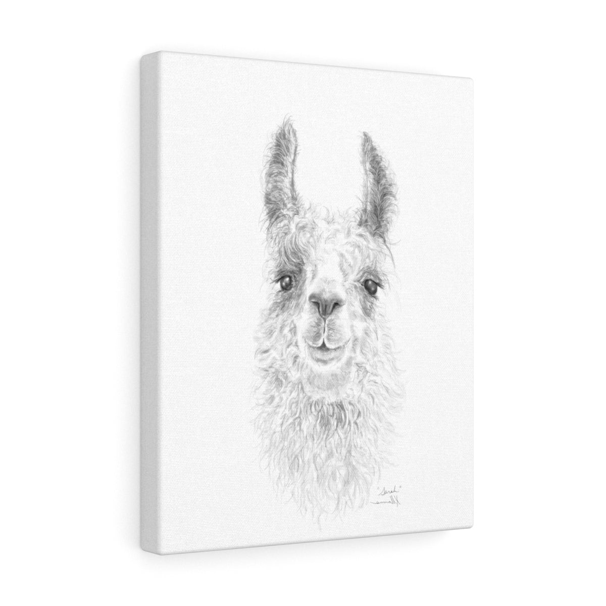 SARAH Llama - Art Canvas
