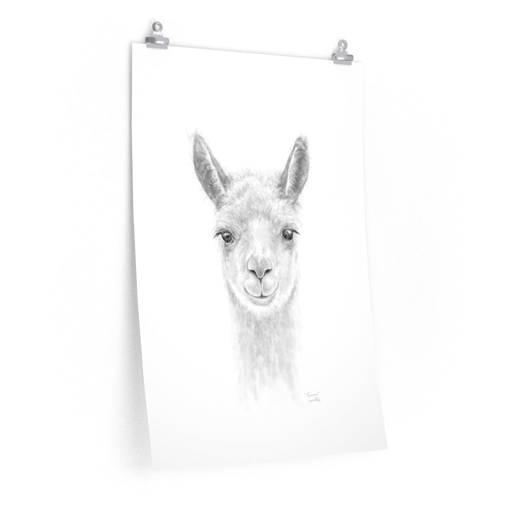 TAMARA Llama- Art Paper Print