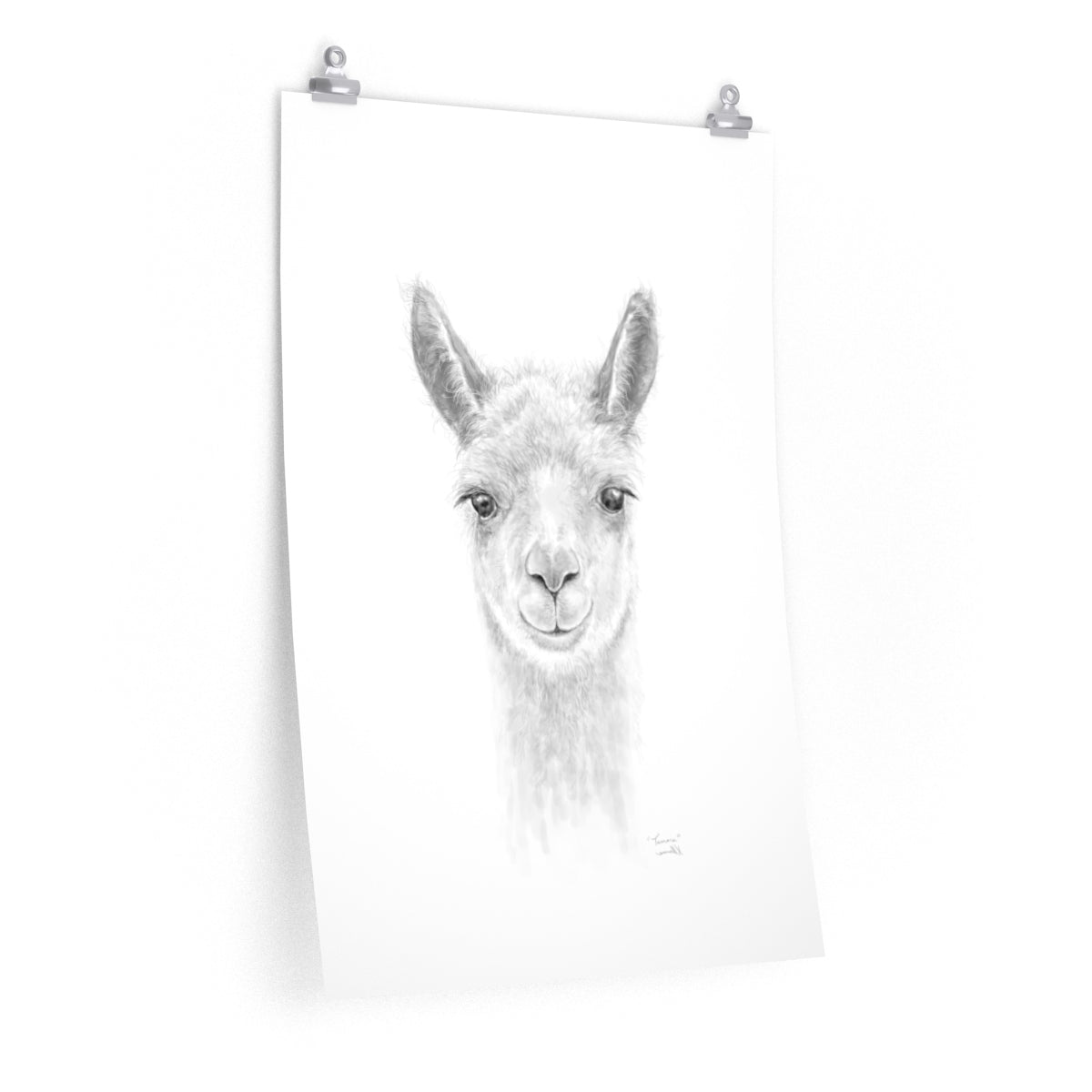 TAMARA Llama- Art Paper Print