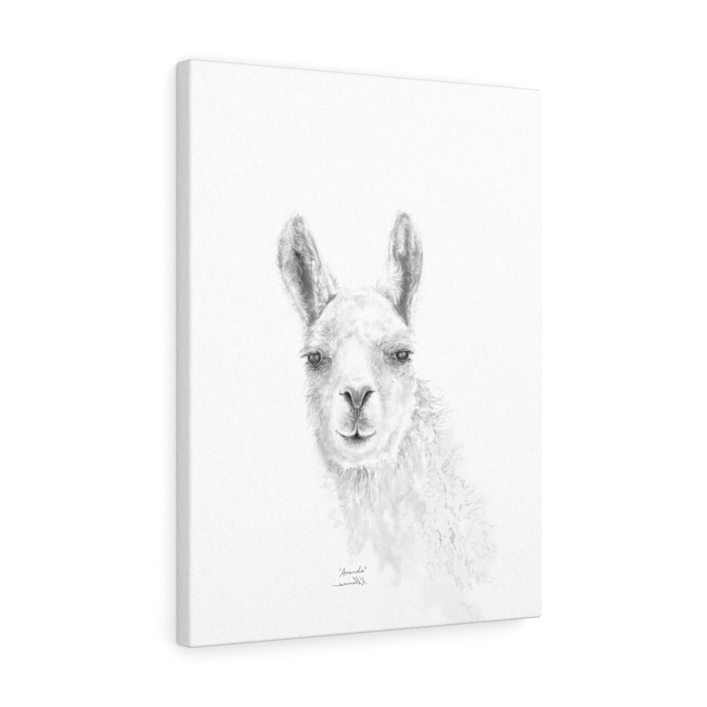 AMANDA Llama - Art Canvas