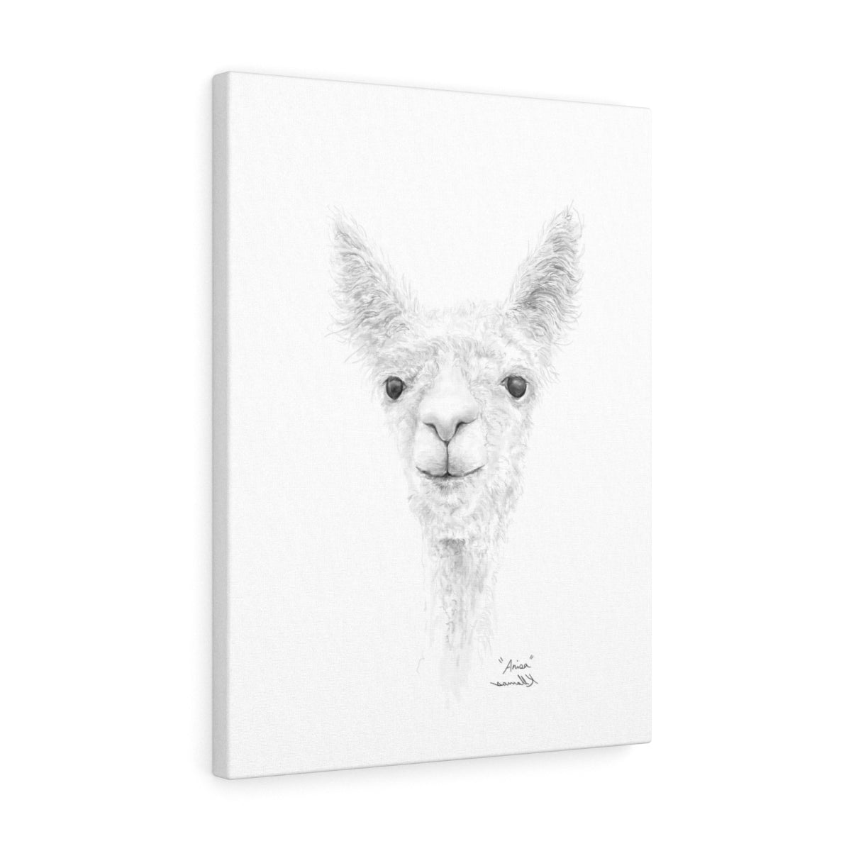 ANISA Llama- Art Canvas