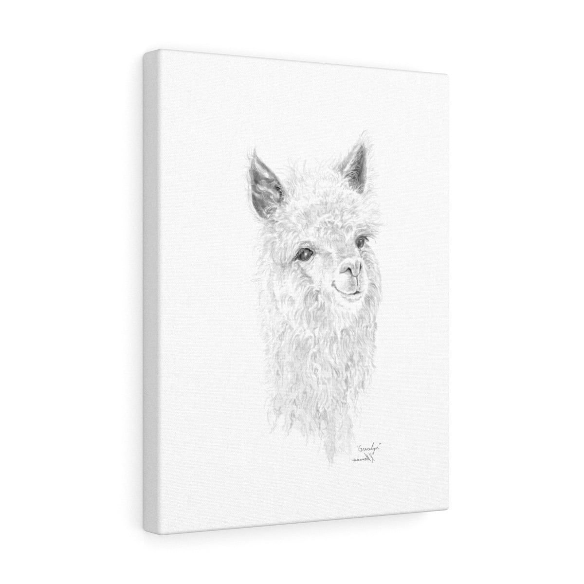 Gracelyn Llama - Art Canvas