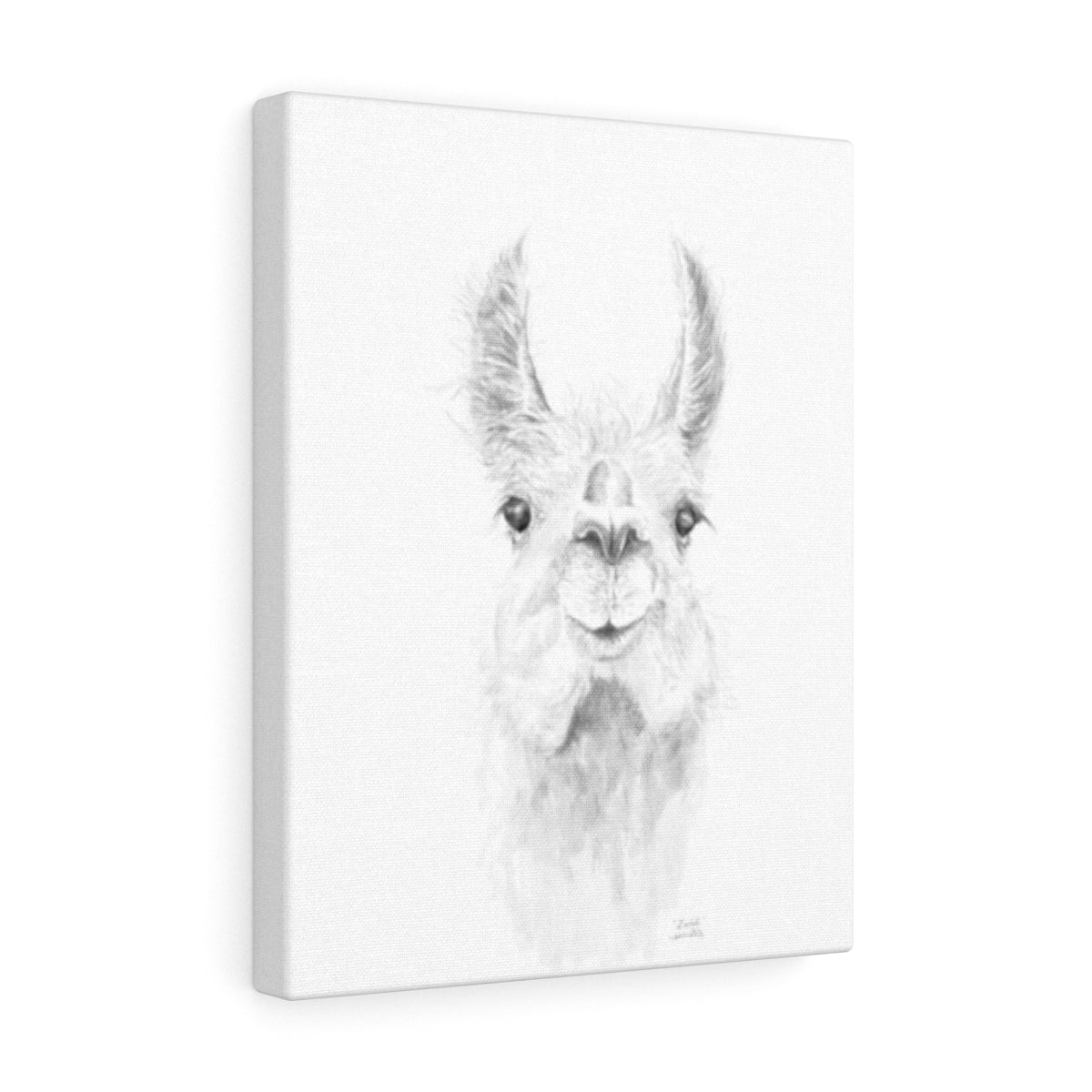 ZAILAH Llama - Art Canvas