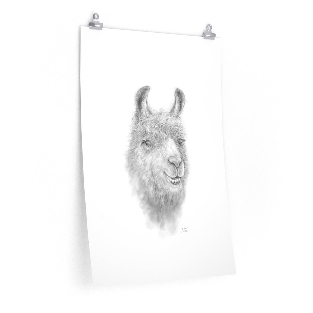 KAYLEE Llama- Art Paper Print