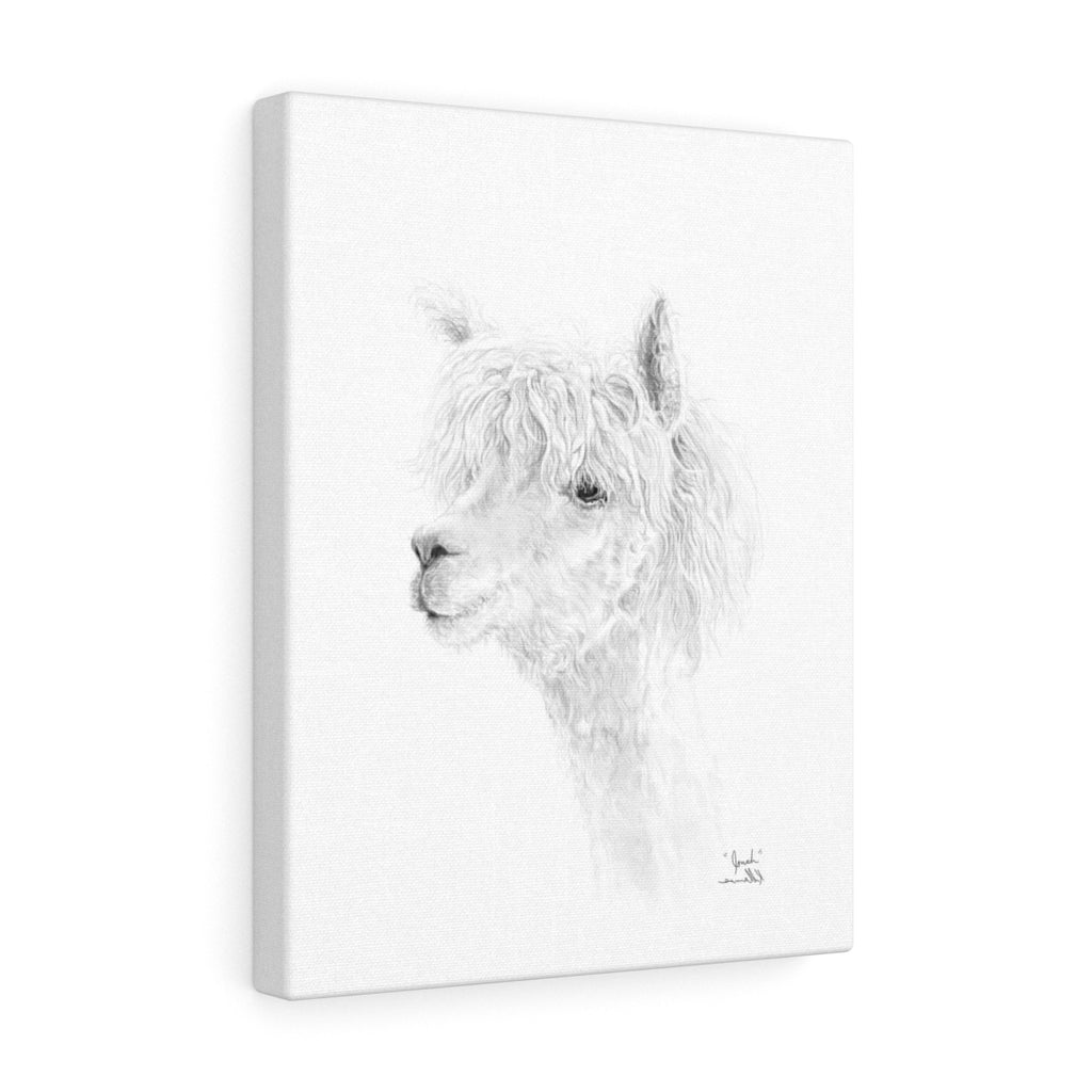 JONAH llama- Art Canvas