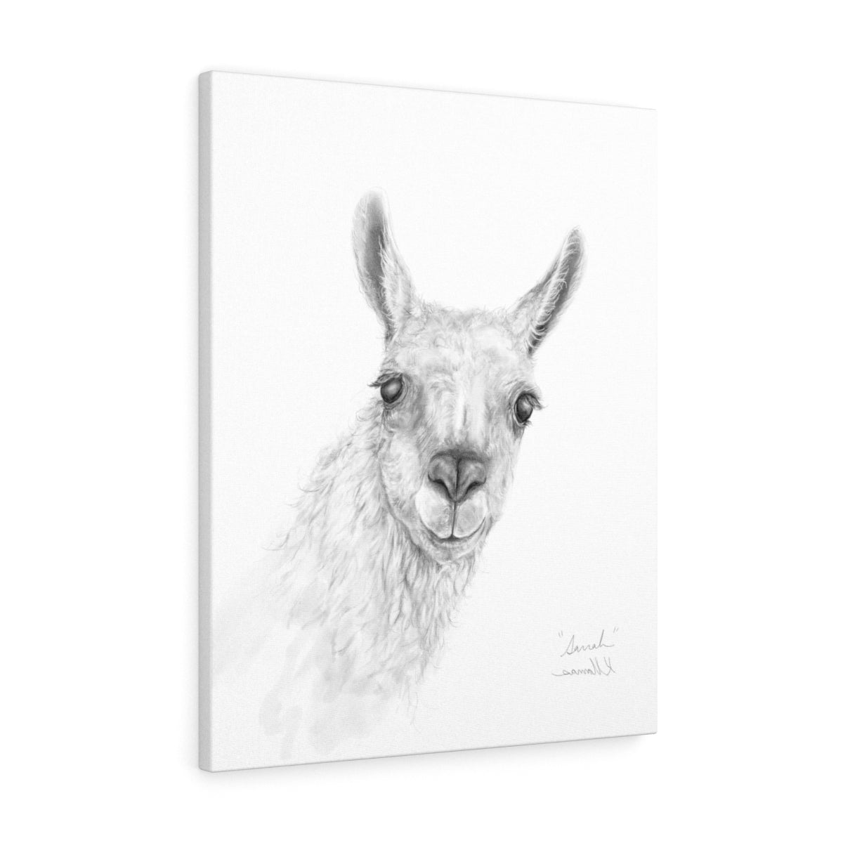 SARRAH Llama - Art Canvas
