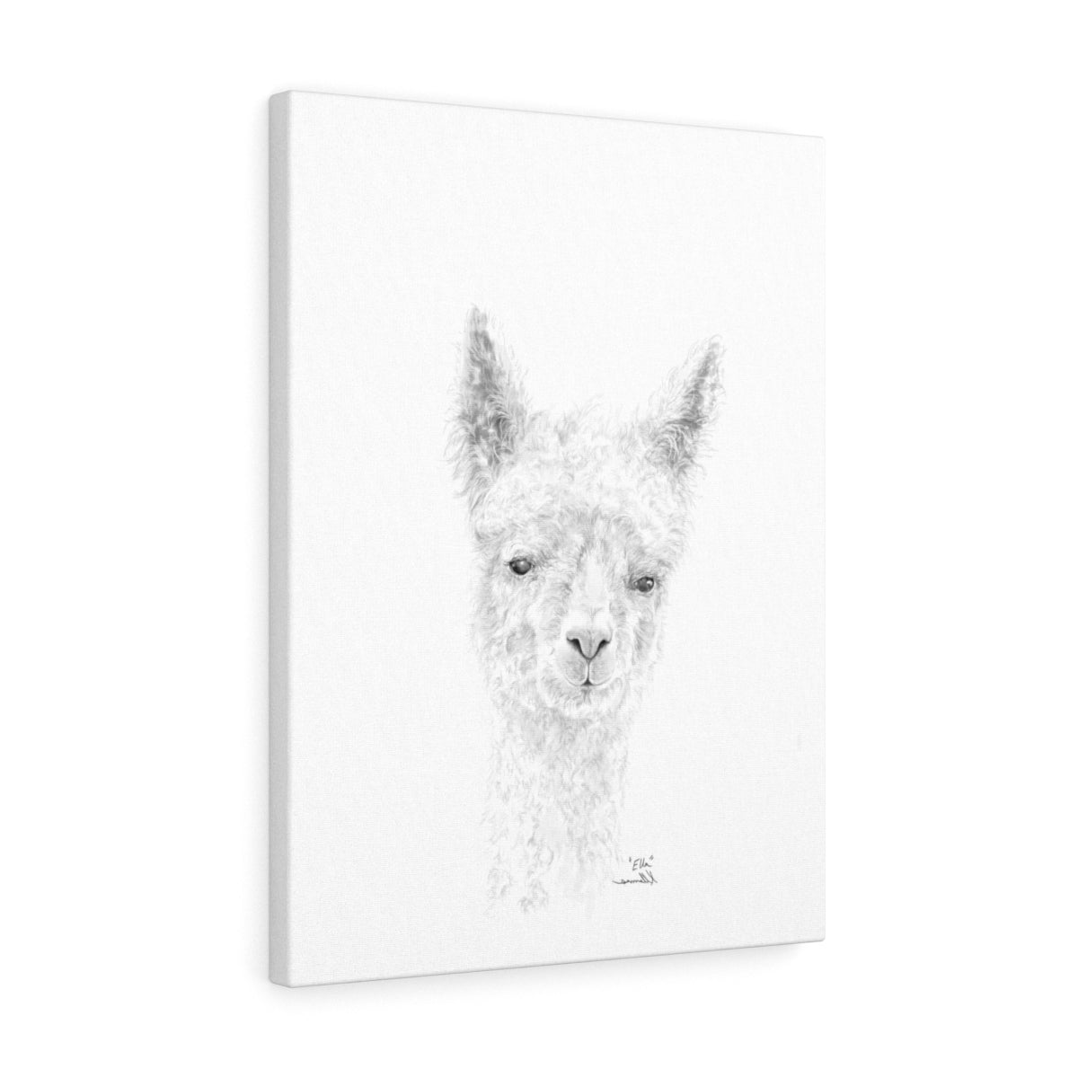 ELLA llama- Art Canvas