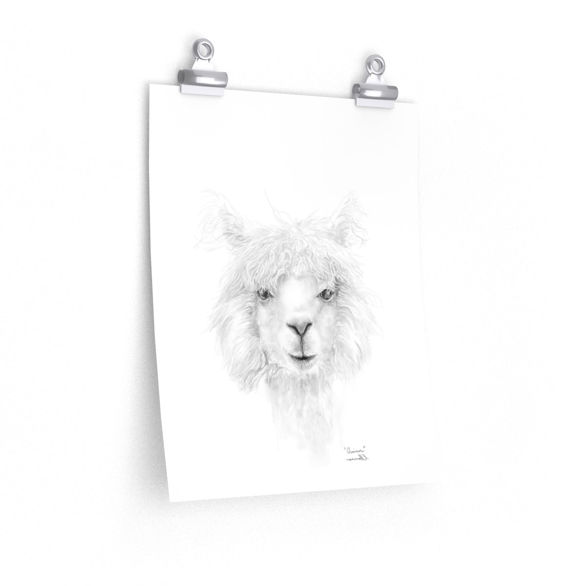 QUINN Llama- Art Paper Print