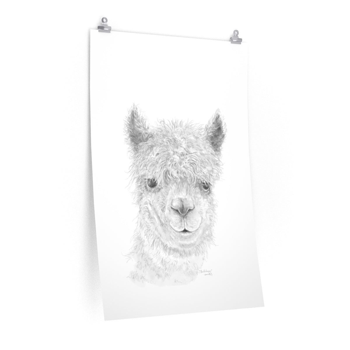 BARTHOLOMEW Llama- Art Paper Print
