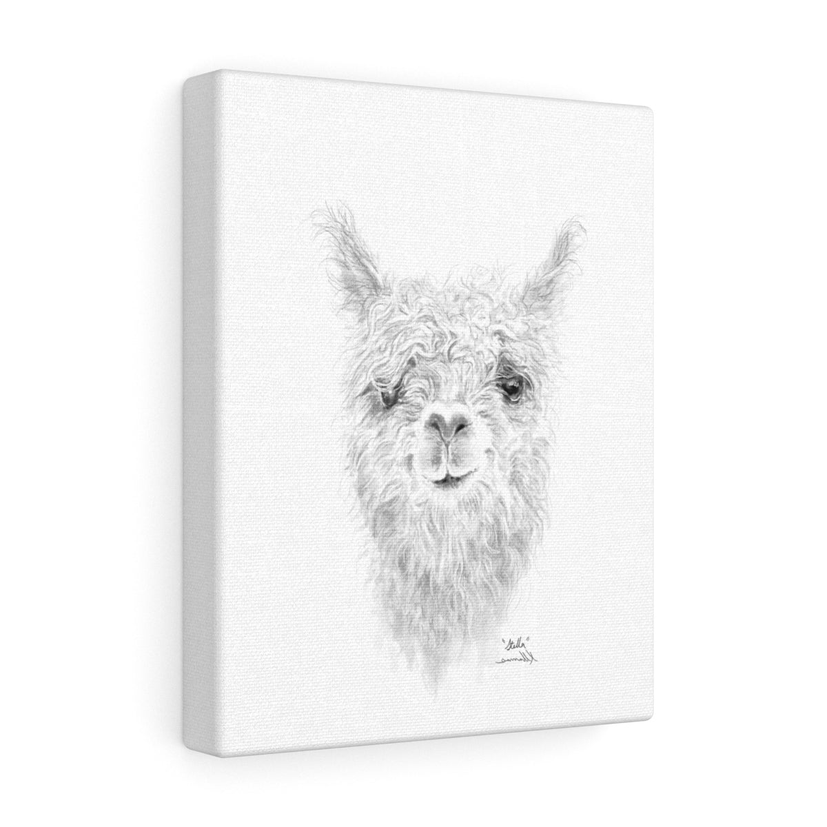 STELLA Llama - Art Canvas