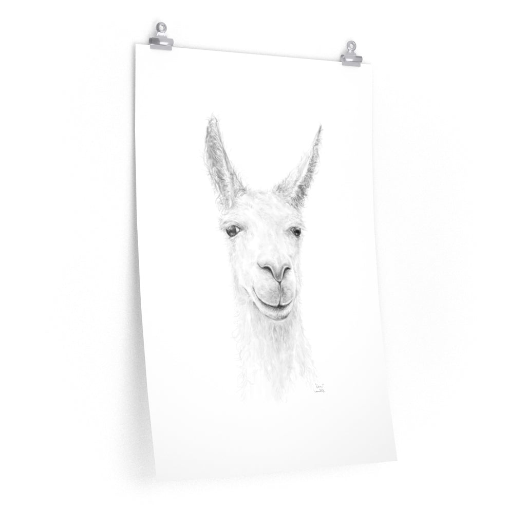 IAN Llama- Art Paper Print
