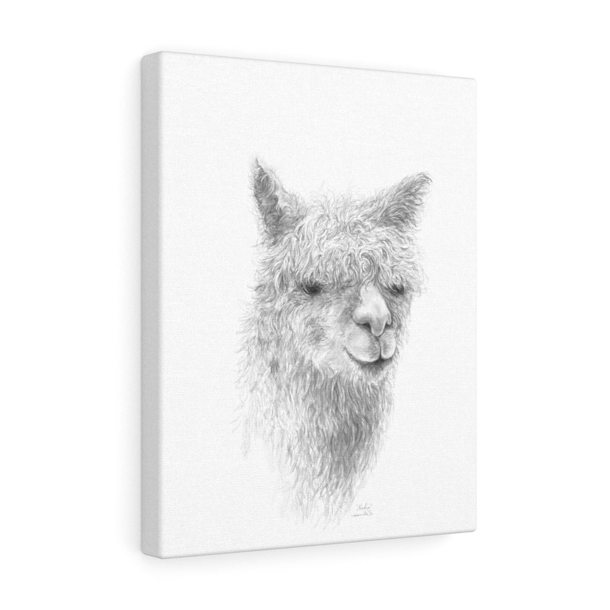 Nadia Llama - Art Canvas
