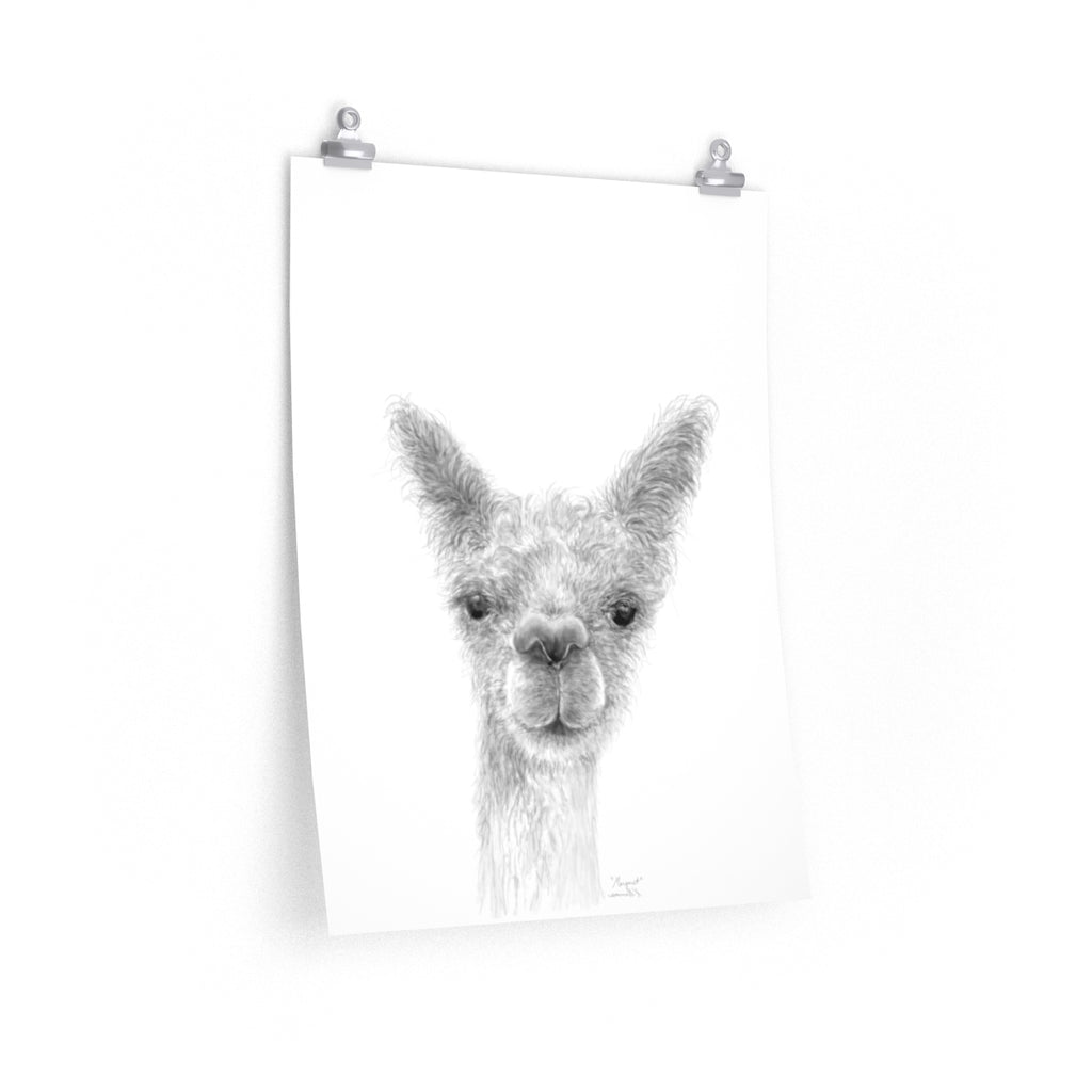 MARGARET Llama- Art Paper Print