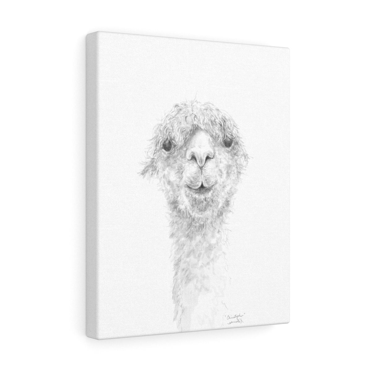 CHRISTOPHER Llama - Art Canvas