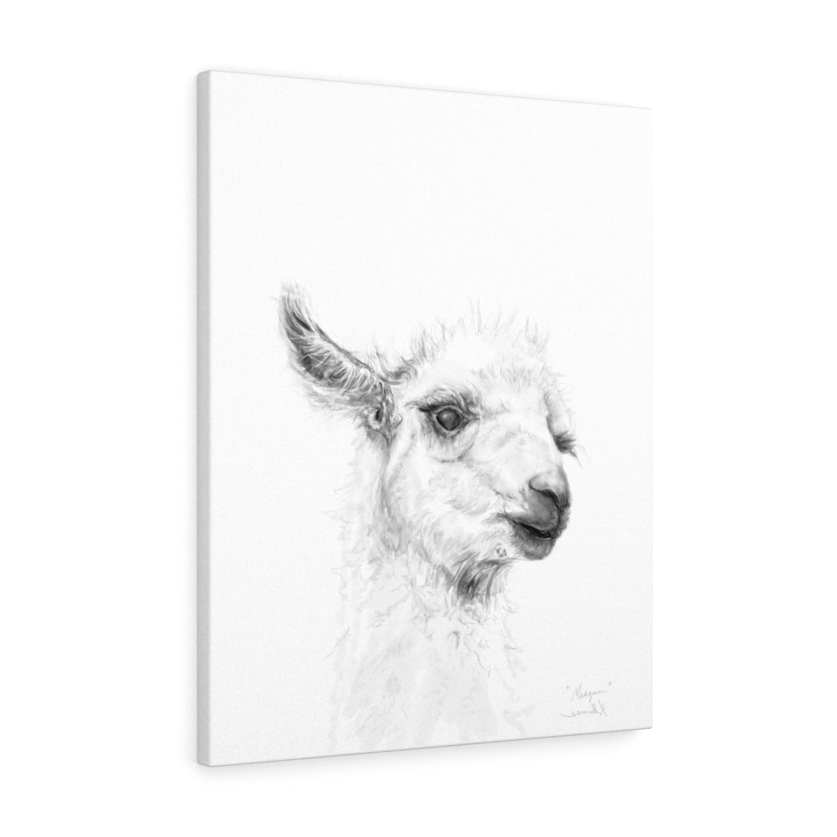 MEAGAN Llama - Art Canvas