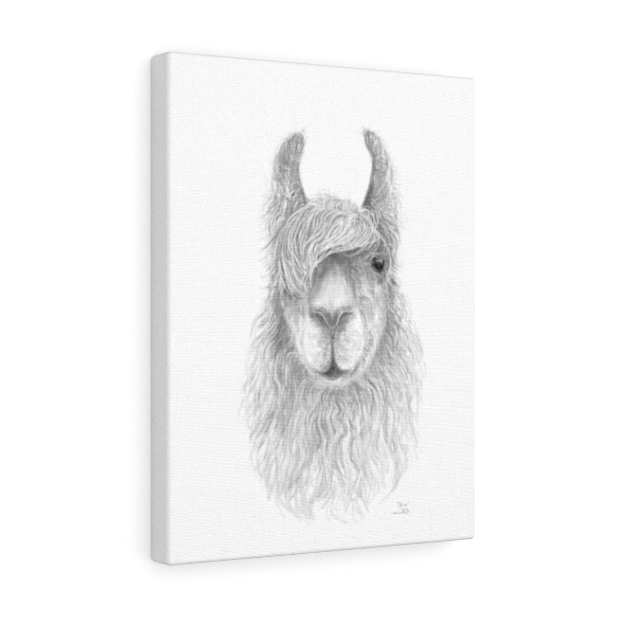 CHRIS Llama - Art Canvas