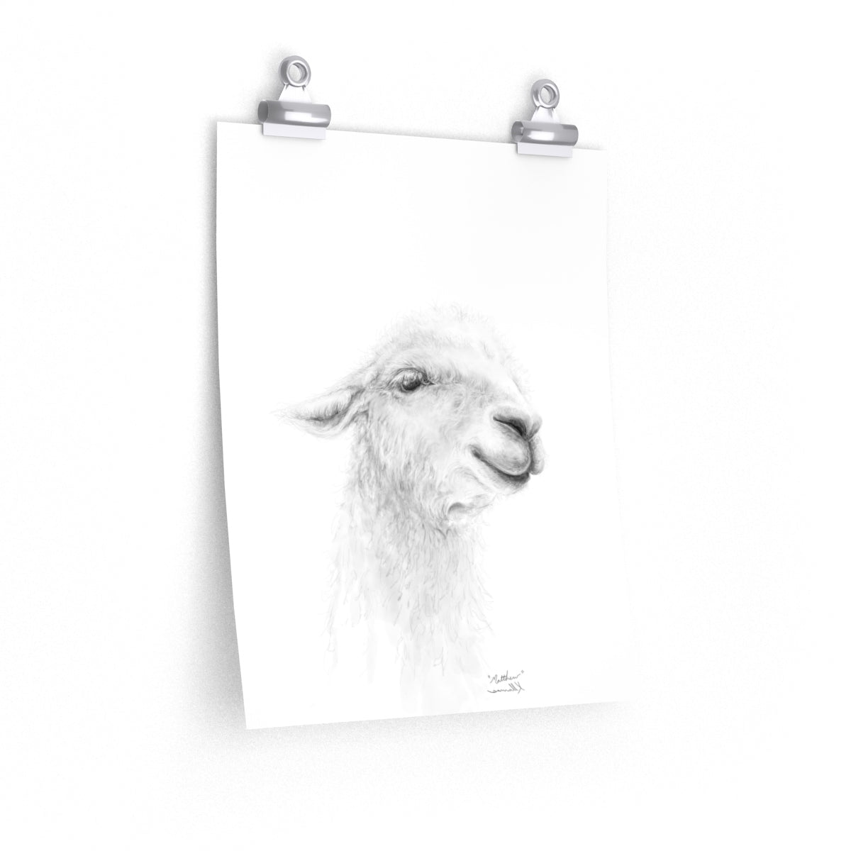 MATTHEW Llama- Art Paper Print