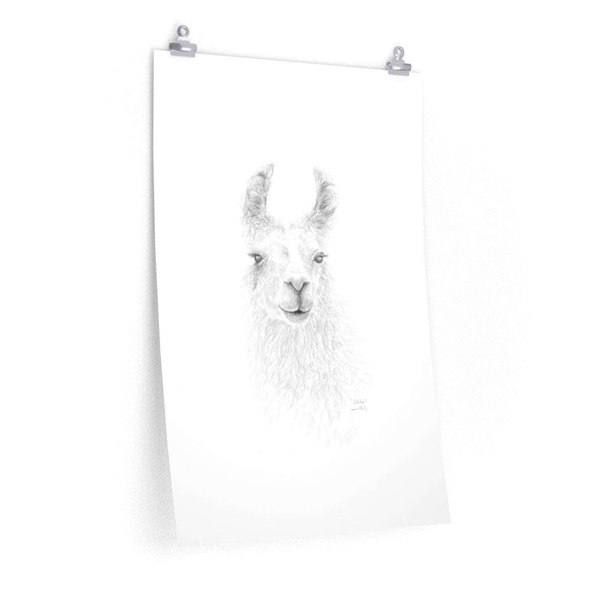 KAHLIE Llama- Art Paper Print