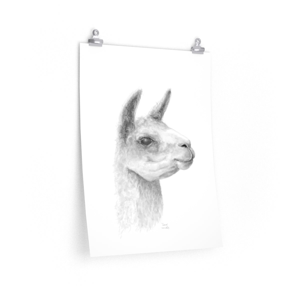 CIERRA Llama- Art Paper Print