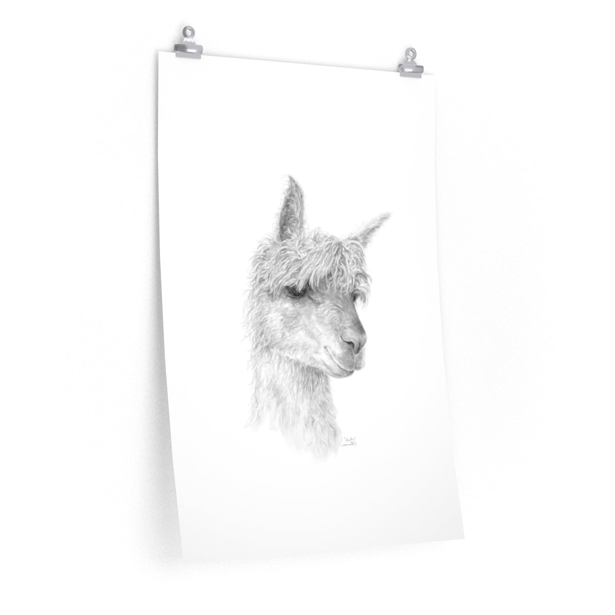 AUSTIN Llama- Art Paper Print