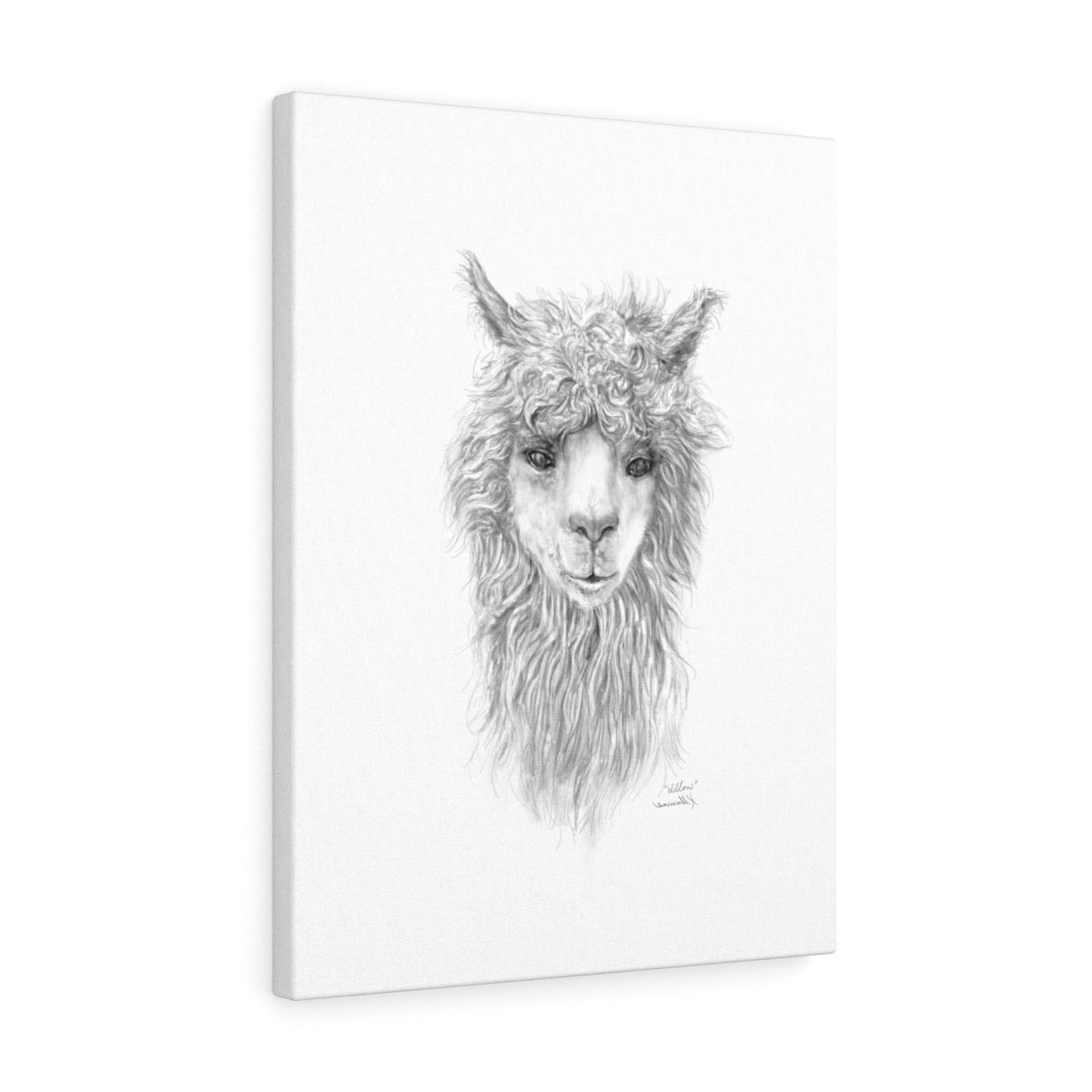 WILLOW Llama - Art Canvas