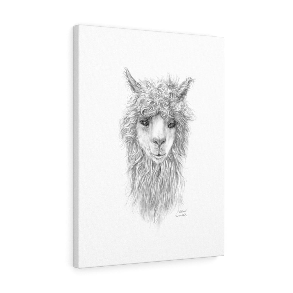 WILLOW Llama - Art Canvas