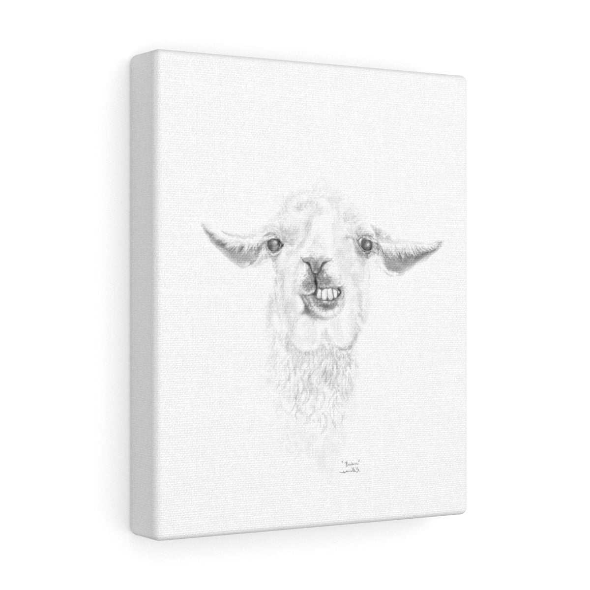 BRIAN Llama - Art Canvas