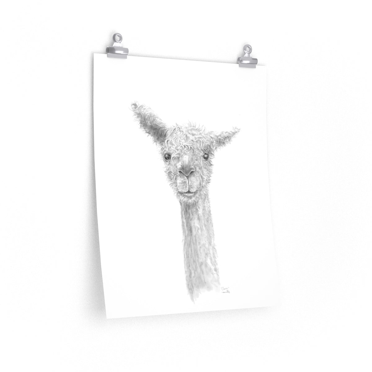 OWEN Llama- Art Paper Print