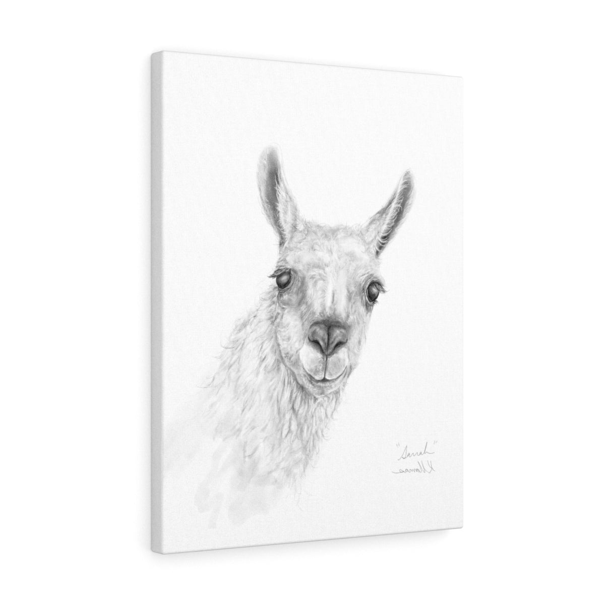 SARRAH Llama - Art Canvas