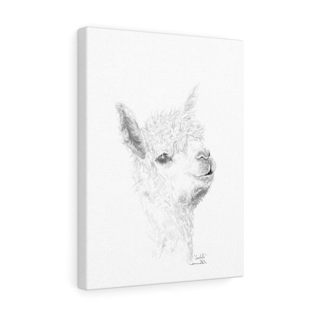 ISABELLA Llama - Art Canvas