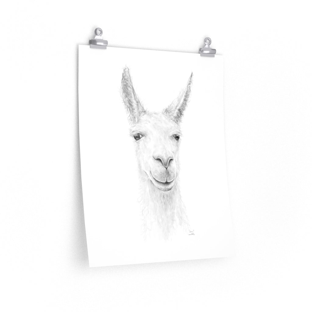 IAN Llama- Art Paper Print