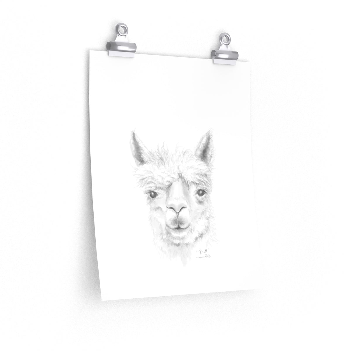 RHETT Llama- Art Paper Print