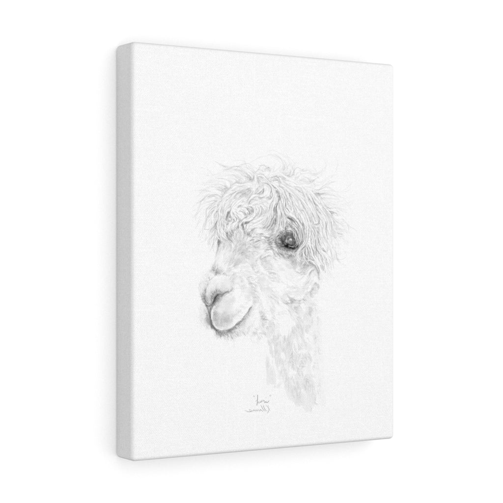 LORI Llama - Art Canvas