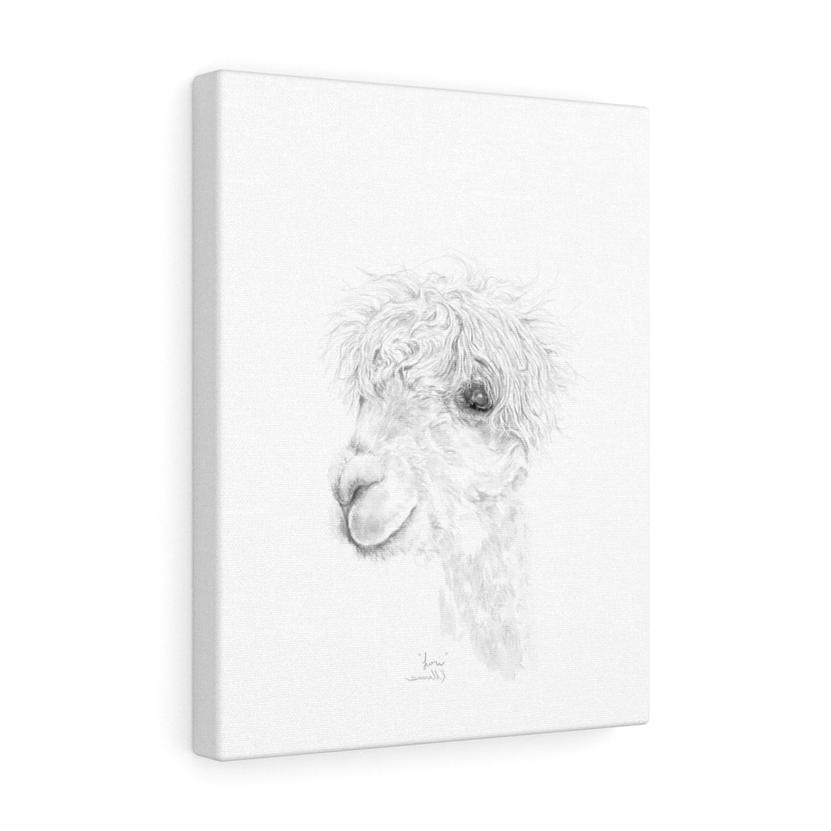 LORI Llama - Art Canvas