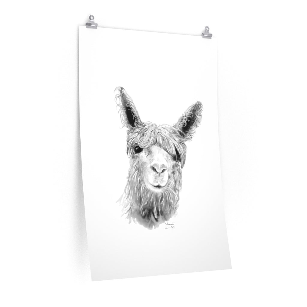 MIRANDA Llama- Art Paper Print