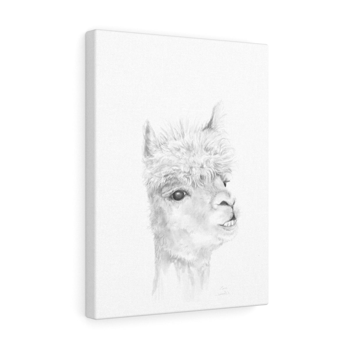 MARC Llama - Art Canvas