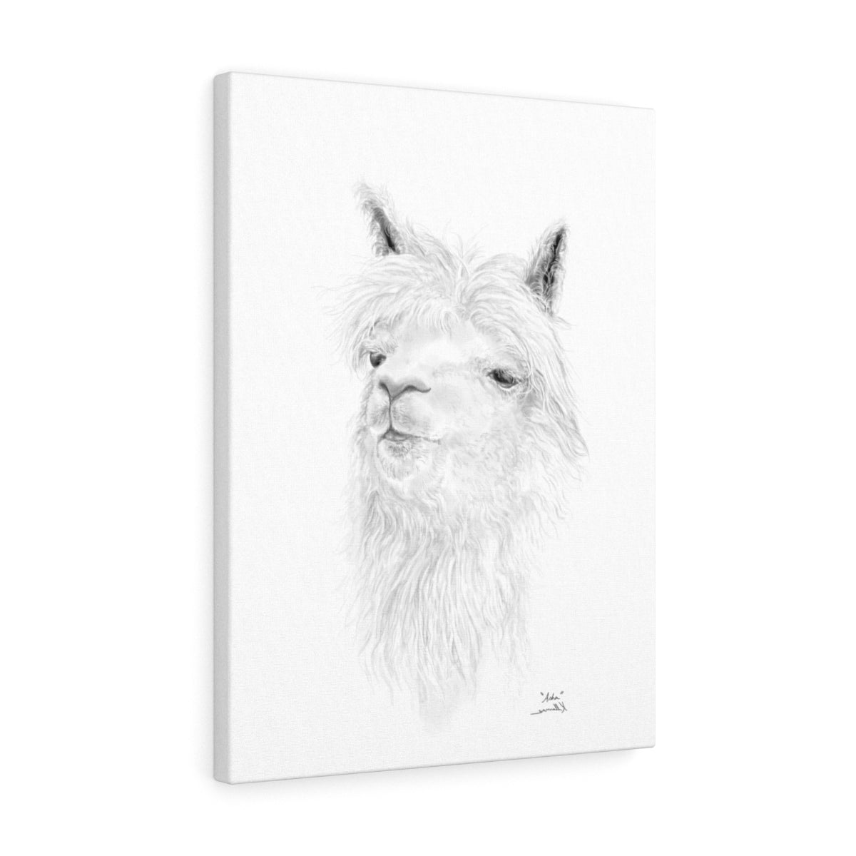 ASHA llama- Art Canvas