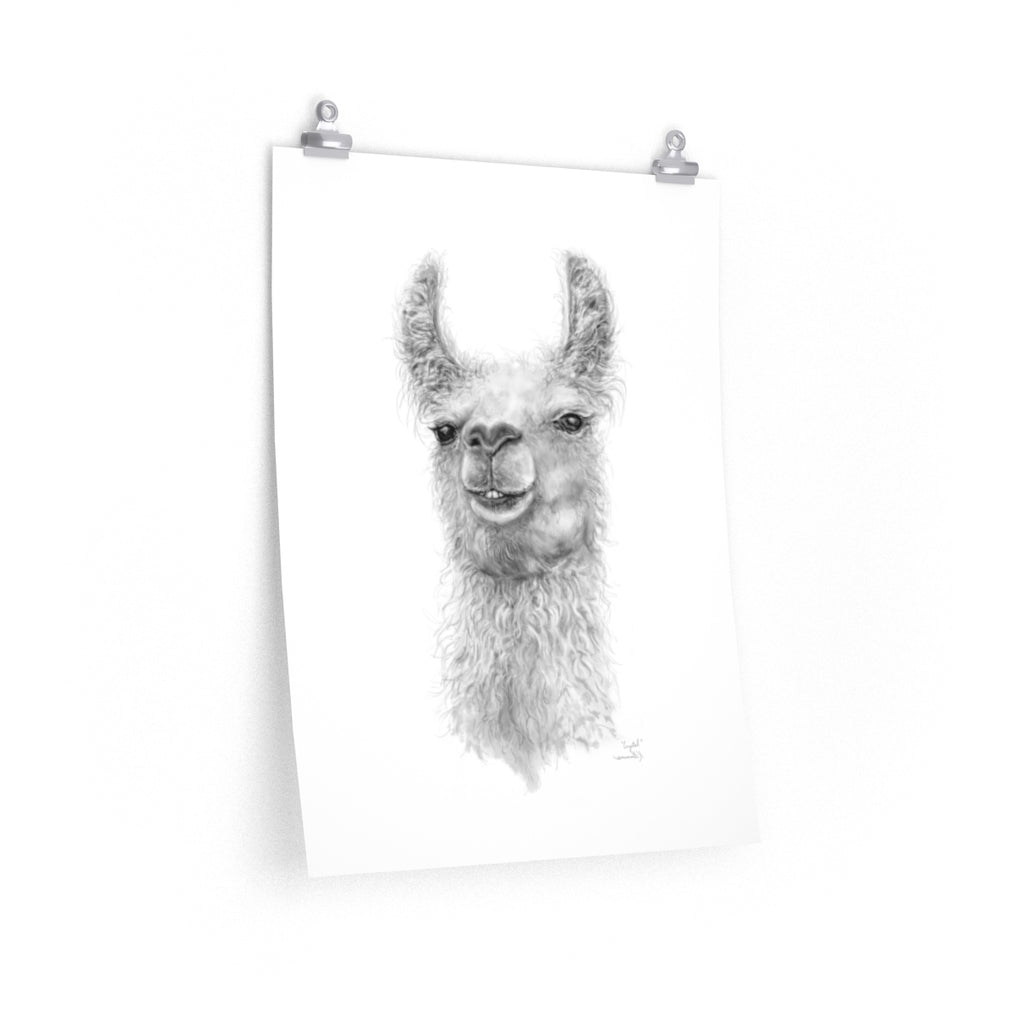 CRYSTAL Llama- Art Paper Print