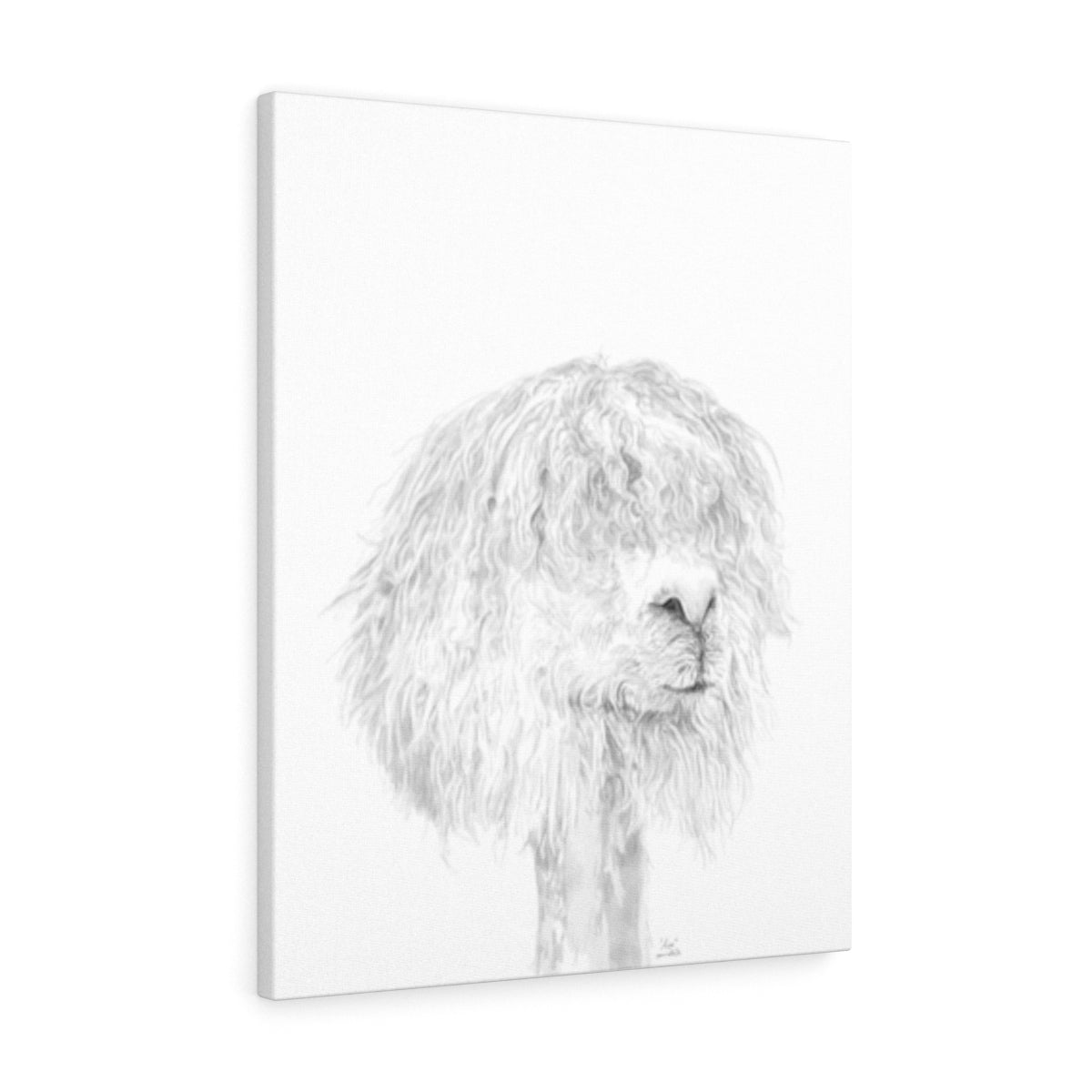 ASA Llama - Art Canvas