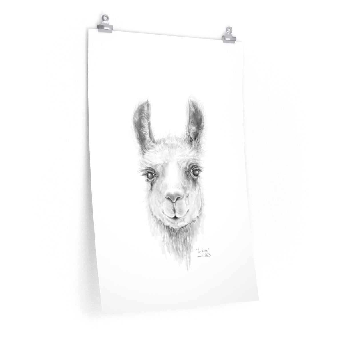 CAROLINE Llama- Art Paper Print