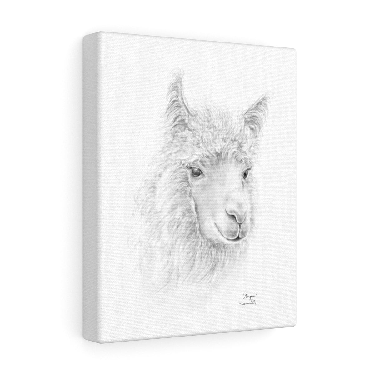 MORGAN llama- Art Canvas