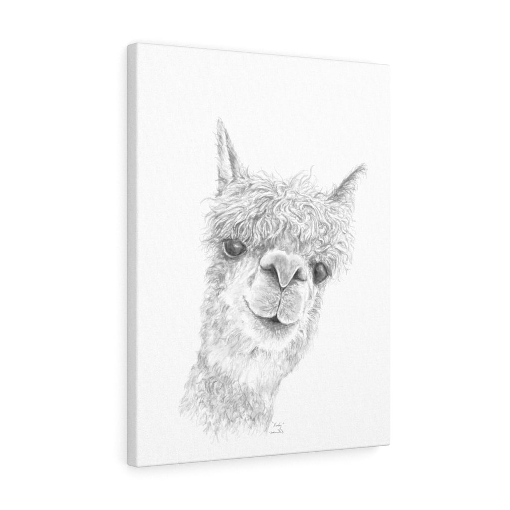 KENLEY Llama - Art Canvas