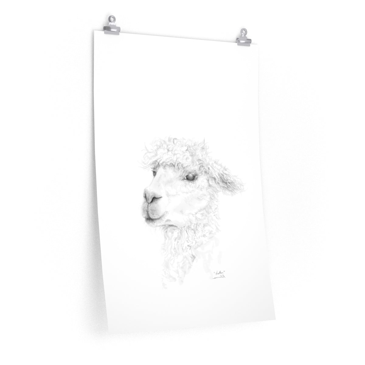 HEATHER Llama- Art Paper Print