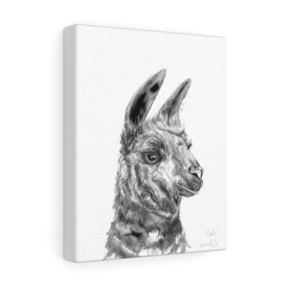 GABE Llama - Art Canvas