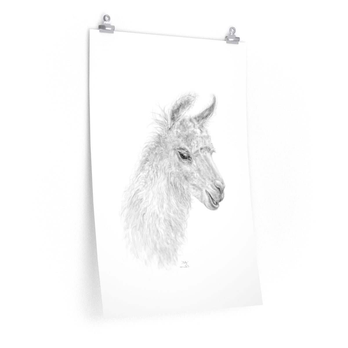 MOLLY Llama- Art Paper Print