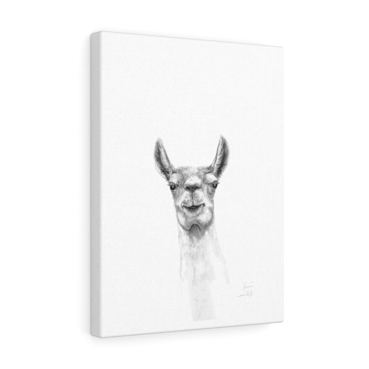 KAIN Llama - Art Canvas
