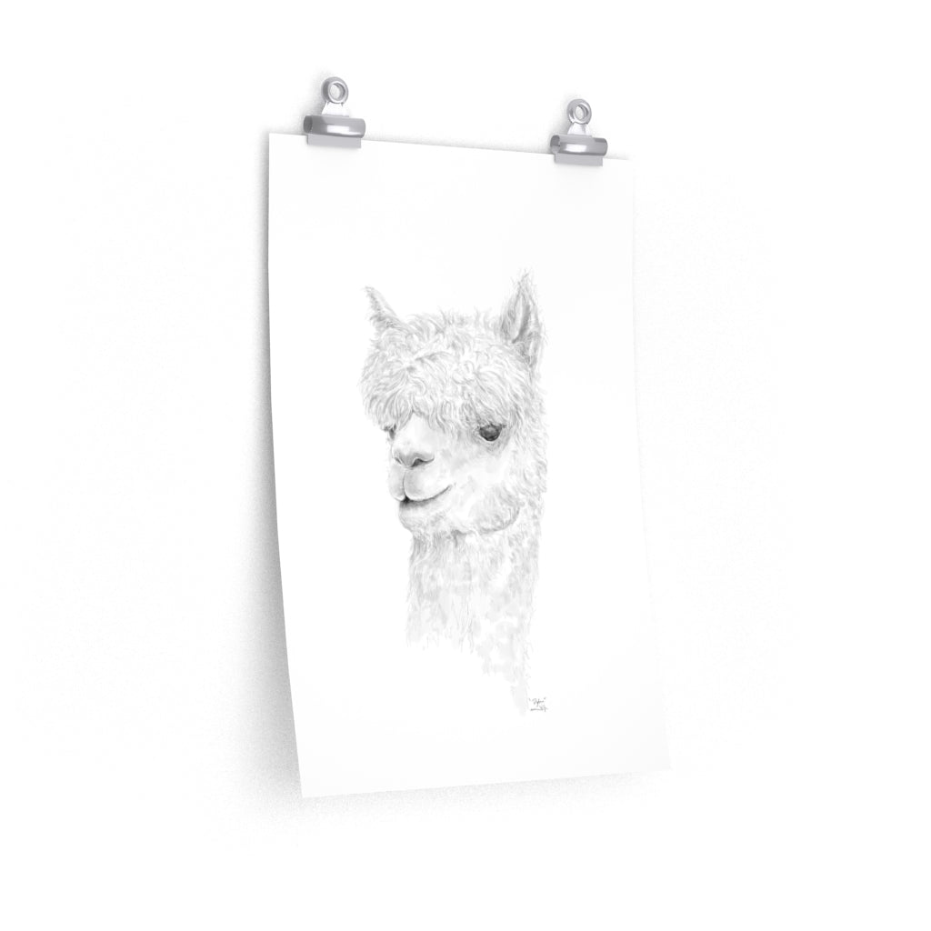 DYLAN Llama- Art Paper Print