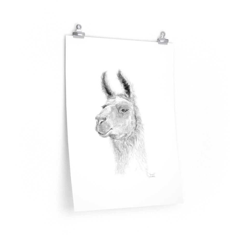 JAN CARLO Llama- Art Paper Print